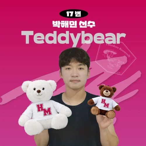 [네오플레인] 박해민 프로야구 선수 테디베어 인형 불꽃야구 크보 팬 굿즈 판매 선물템, 브라운, 1개