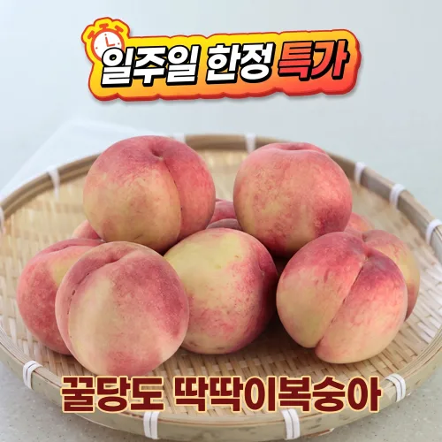 (일주일 특가) 산지직송 고당도 딱딱이복숭아