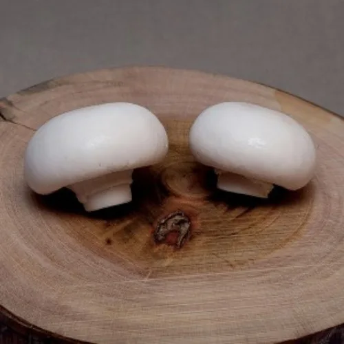 캔들바다 수제몰드 - 양송이 버섯 2종 (선택), [ 양송이버섯 2 ]