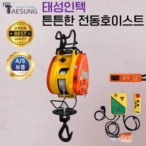 태성인텍 튼튼한 전동호이스트 크레인 윈치 화물 기중기 공장 물류운반 유무선컨트롤, 1개