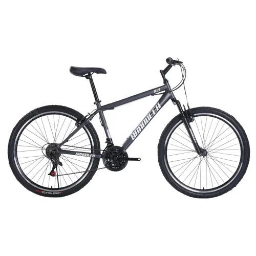 브랜디어 B21 MTB 스틸 림 브레이크 16.5kg 신장 160~180cm, 티타늄그레이, 66cm(26인치)