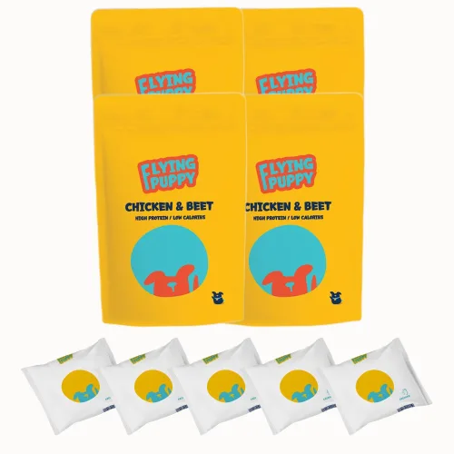 플라잉퍼피 강아지 화식 할인세트, 500g, 4세트, 닭