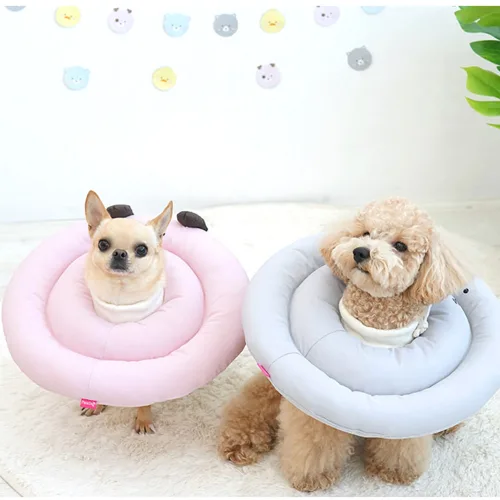 패리스독 베프카라 강아지 고양이 넥카라 깔대기