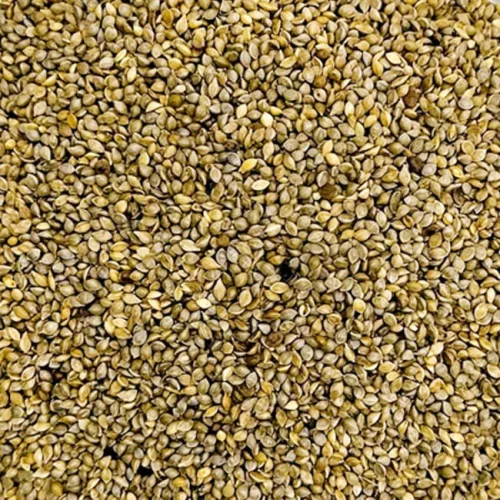피 씨앗 물세척 고온 살균 앵무새 모이 먹이 사랑 핀치 카나리아 핀치, 1개, 500g