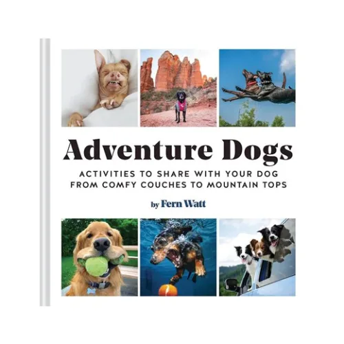 Adventure Dogs: Activities to Share with Your Dog from Comfy Couches to Mountain Tops 강아지 애견 사진 디자인북