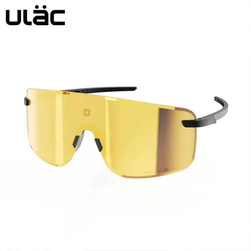 유락 비저널 Jet Black_Champion Gold Photochromic