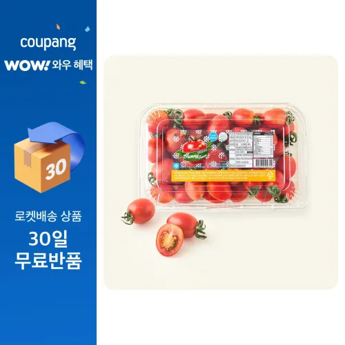 [로켓프레시] 야미 스테비아 대추방울토마토