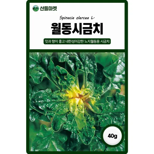 다농 월동시금치 씨앗 40g 노지 월동재배 시금치씨 종자