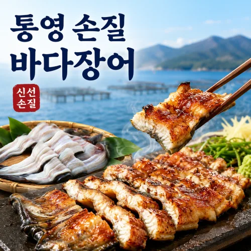 통영 자연산 바다장어 구이용 보양식