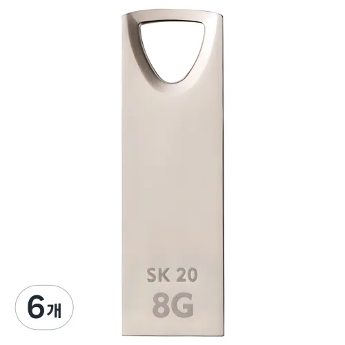 액센 SK20 USB 2.0, 8GB, 6개