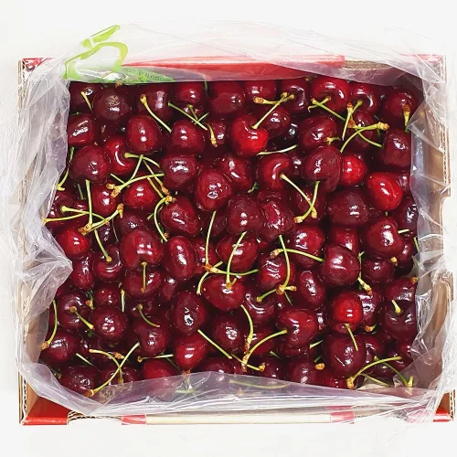 항공직송 생 체리 프리미엄 대과/특대과, 1세트, 항공직송 생 체리 특대과(9.5R) 2kg