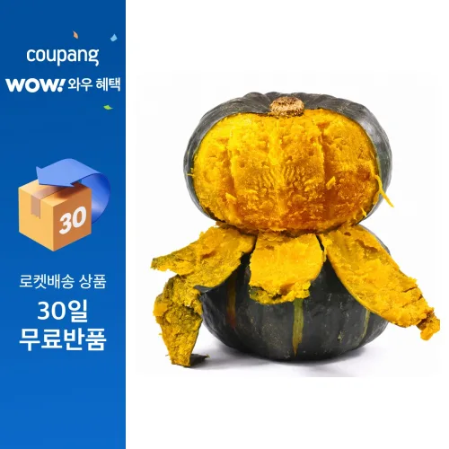 [농장직판] 최상급보우짱 미니단호박 제주 밤호박, 1박스, 3kg(특품)