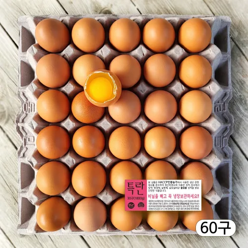 [농장직송] HACCP인증 에그트리농장 특란 생계란(XL), 60구, 1개