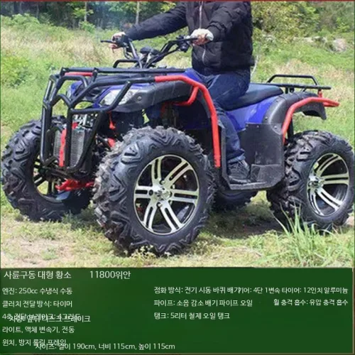 사륜 ATV 오프로드 산악바이크 전기 대형 소형 가솔린 레저용 농업용 운반차, 대공우 사륜구동 250 수냉식, 단일 모델