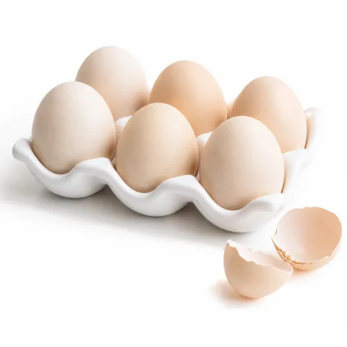 정리의맛 에그트레이, 1개, 화이트