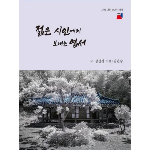 젊은 시인에게 보내는 엽서 : 시에 대한 99한 생각