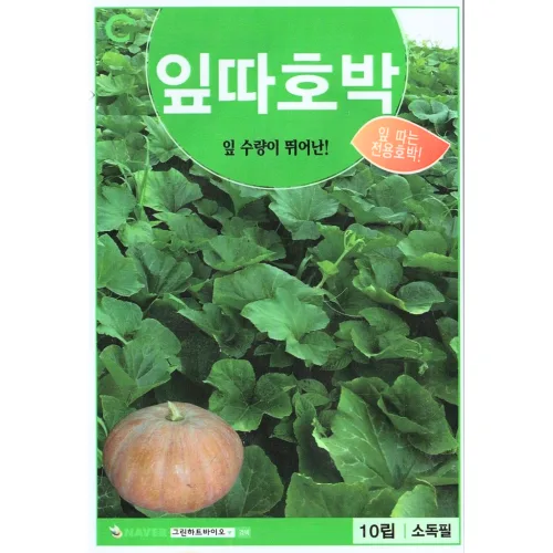 잎따호박 10립 호박잎씨 호박잎씨앗 호박씨 호박씨앗 씨앗 씨 종자, 1개