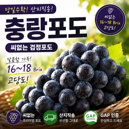 충랑포도 씨없는포도 검정포도 고당도 포도 산지직송 GAP인증 제철포도, 1박스, 1.5kg 상(2-3수)