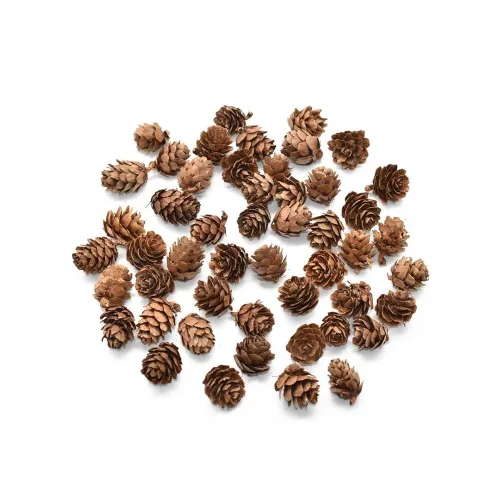 미니 솔방울 (소) 약100g 1봉지 약100개~110개 크기1.5cm~2.5cm, 1개, 본색