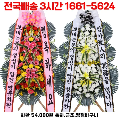 전국 당일 무료 배송, 다덴다플라워 축하화환, 근조화환