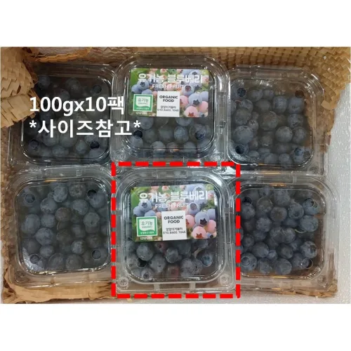 2026 유기농 블루베리 생과 8월수확 국내산 수험생 돌 과일 아이간식