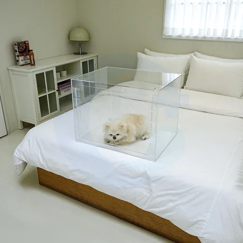 [CU메디칼] 아크릴산소방 단품 / 강아지 고양이 반려동물 네블라이저방 가능 / 주문제작 가능, 투명, 1개, 확장형
