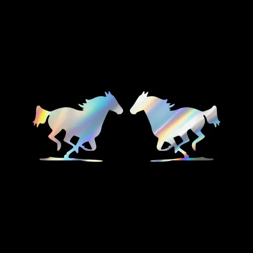 038 포인트 달리는 말 튜닝스티커 (M사이즈) 세트, 홀로그램, 1세트