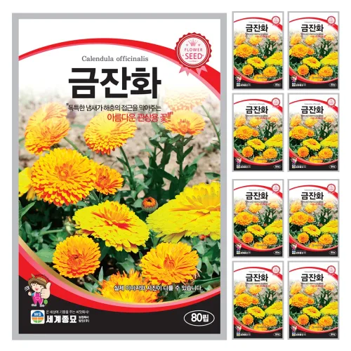 금잔화 메리골드 씨앗 꽃씨 80립 세계종묘 모칸도