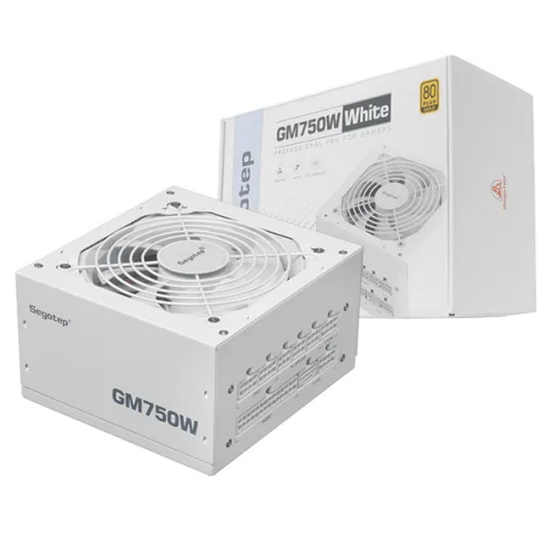 Segotep GM750W 80PLUS GOLD 풀모듈러 ATX 3.1 (PCIE5.1) 화이트, 단일상품