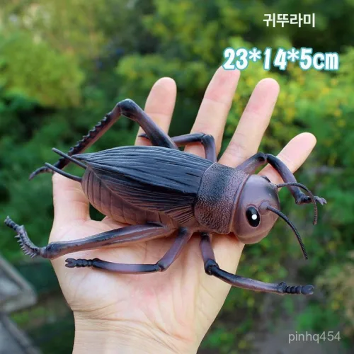 곤충 피규어 귀뚜라미 리얼 컬렉션 취미 크리켓 수집 대형 모형 버그 pvc 손바닥