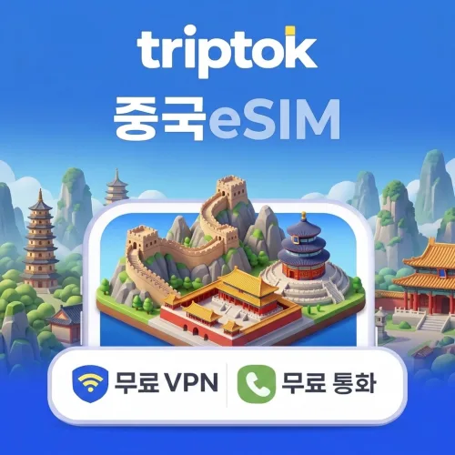 중국 5G 베이징 상하이 차이나모바일 차이나유니콤 데이터 전화/VPN