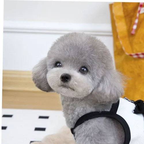 강아지 블랙앤화이트 여름 민소매 리본 나시티 강아지티셔츠 강아지옷 반려동물옷