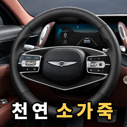 대세스토어 소가죽 사계절용 미끄럼방지 핸들 커버, 블랙