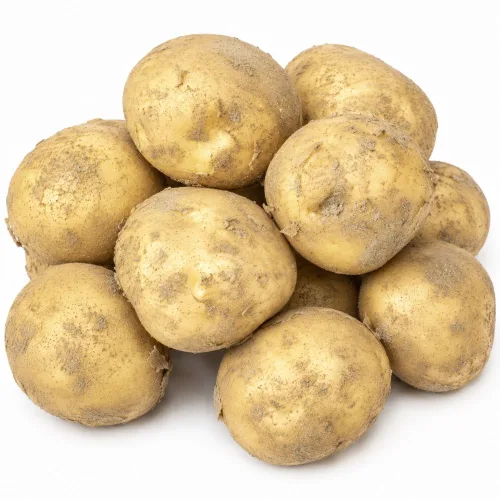 국내산 강원도 수미 감자 햇감자, 1개, 5kg (중)
