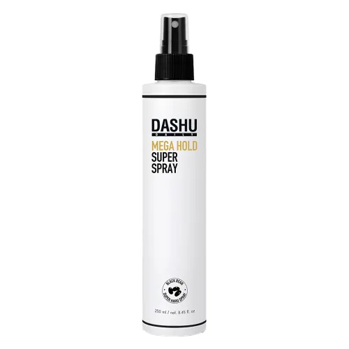 다슈 데일리 메가 홀드 슈퍼 스프레이, 250ml, 1개