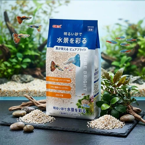 GEX 샌드 젝스 퓨어 샌드 고급 바닥재 1kg, 1개, 브라이트