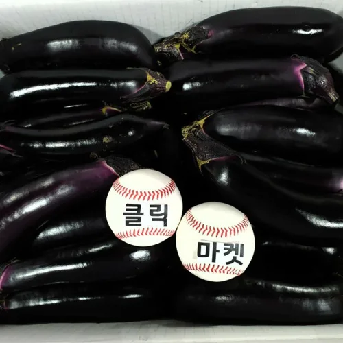 클릭마켓 국내산 햇 가지 1kg, 1kg, 1개