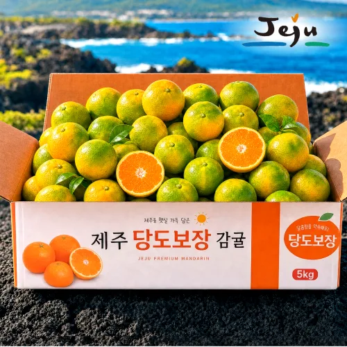 [서귀포농장직판] 11brix 당도선별 귤 제주 감귤 초특가, 1박스, 고당도 감귤 5kg