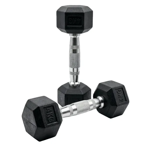 홈짐 PEV 헥사곤 덤벨 헬스장 육각 아령, 2개, 4kg