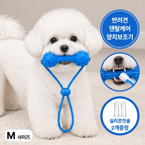 마세스 강아지 양치 보조기 씹는 장난감 이갈이 치아관리 치석관리 터그놀이, 1개, 프레시 블루